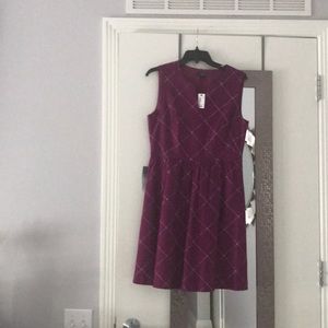 NWT: The Limited dress-never worn: tags still on